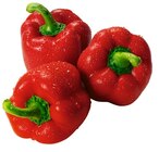 Rote Bio Paprika Angebote von REWE Bio bei REWE Bamberg für 1,99 €