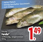 Frische Forelle von  im aktuellen EDEKA Prospekt für 1,49 €