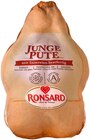 Frz. Puten im Angebot bei REWE in Neuss Frz. Puten Angebote bei REWE Neuss für 3,99 €