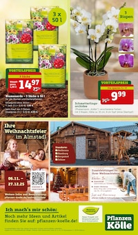 Blumenerde im Pflanzen Kölle Prospekt "Bunter Herbst" mit 12 Seiten (Mainz)