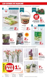 Jardinage Angebote im Prospekt "Super U" von Super U auf Seite 32