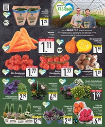 Pflanzen Angebot & Preis im aktuellen EDEKA Prospekt Pflanzen Angebot im aktuellen EDEKA Prospekt auf Seite 3