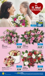 Sträucher Angebot & Preis im aktuellen Lidl Prospekt Sträucher Angebot im aktuellen Lidl Prospekt auf Seite 4