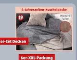 4-Jahreszeiten-Kuscheldecke Angebote bei Penny Baden-Baden für 15,00 €