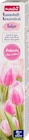 dm-drogerie markt Lage - Raumduft Konzentrat Tulpe Angebot im Prospekt Raumduft Konzentrat Tulpe bei dm-drogerie markt im Lage Prospekt für 2,45 €