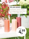 Aktuelles SOLAR-KERZE Angebot bei ROSENGUT Langerwisch in Potsdam ab 4,99 €