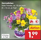 Hornveilchen  im aktuellen Netto Marken-Discount Prospekt für 1,99 €