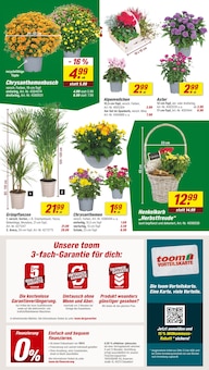 Blumen im aktuellen toom Baumarkt Prospekt (Wuppertal) Blumen im toom Baumarkt Prospekt "Respekt, wer's selber macht." mit 16 Seiten (Wuppertal)