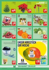 Weihnachtsbaum im Marktkauf Prospekt in Meißen Aktueller Marktkauf Prospekt mit Weihnachtsbaum, "AUSWAHL RIESIG, PREISE NIEDRIG", Seite 11