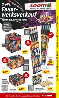 Feuerwerk im toom Baumarkt Prospekt "Der toom Gutschein-Tag am Black Friday" mit 2 Seiten (Albstadt)