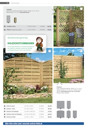 Rankhilfe Angebot im aktuellen Holz-Zentrum Theile Prospekt auf Seite 11