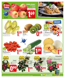 Blumen im aktuellen EDEKA Prospekt (Augsburg) Blumen im EDEKA Prospekt "Wir lieben Lebensmittel." mit 24 Seiten (Augsburg)