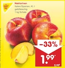Nektarinen im Netto Marken-Discount Prospekt Nektarinen von MARKTTAG im aktuellen Netto Marken-Discount Prospekt für 1,99 €