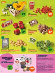 Pflanzen im tegut Prospekt "tegut… gute Lebensmittel" mit 32 Seiten (Jena)