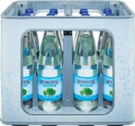Mineralwasser im Angebot bei Netto Marken-Discount in Halberstadt Mineralwasser Angebote von Rennsteig bei Netto Marken-Discount Halberstadt für 3,99 €