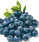 Heidelbeeren bei Netto mit dem Scottie im Dresden Prospekt für 1,69 €