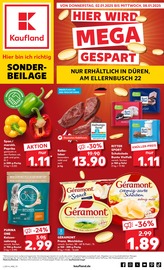 Aktueller Kaufland Prospekt mit Tierbedarf, "Sonderbeilage", Seite 1