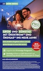 GRÜN UND GÜNSTIG! MIT ÖKOSTROM UND ÖKOGAS INS NEUE JAHR! im aktuellen ALDI SÜD Prospekt