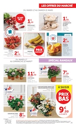 Offre Plantes dans le catalogue Super U du moment à la page 25