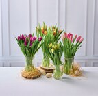 15 Tulipes - U en promo chez Super U Alençon à 6,59 €