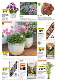 Blumenerde Angebot im aktuellen OBI Prospekt auf Seite 2