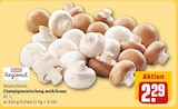Champignonmischung weiß/braun im Angebot bei REWE in Villingen-Schwenningen Champignonmischung weiß/braun Angebote von REWE Regional bei REWE Villingen-Schwenningen für 2,29 €