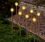 LED Stabbeleuchtung – 8er Set im aktuellen Pflanzen Kölle Prospekt