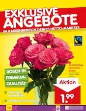Aktueller Netto Marken-Discount Prospekt mit Pflanzen, "Aktuelle Angebote", Seite 12
