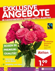 Pflanzen im aktuellen Netto Marken-Discount Prospekt (Ludwigshafen (Rhein)) Pflanzen im Netto Marken-Discount Prospekt "Aktuelle Angebote" mit 68 Seiten (Ludwigshafen (Rhein))