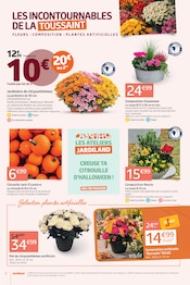 Promos Meuble De Jardin dans le catalogue "LES 12J QUI COLORENT VOTRE AUTOMNE !" de Jardiland Meuble De Jardin en promo dans le catalogue Jardiland à la page 2