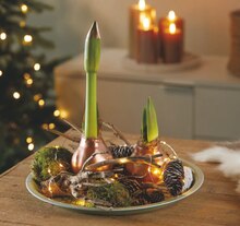 Weihnachtsdekoration bei toom Baumarkt in Esslingen Weihnachtsdekoration im Angebot bei toom Baumarkt Esslingen