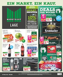 Aktueller Marktkauf Discounter Prospekt fĂŒr Detmold 15.06.2026 - 20.06.2026 Marktkauf Prospekt fĂŒr Detmold mit 24 Seiten
