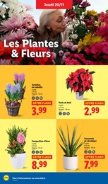 Prix et réduction Pot dans le prospectus Lidl en cours Offre Pot dans le catalogue Lidl du moment à la page 36