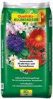 Qualitäts-Blumenerde im Angebot bei Netto mit dem Scottie in Schwerin Qualitäts-Blumenerde Angebote von Plantaflor bei Netto mit dem Scottie Schwerin für 2,99 €