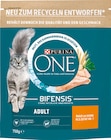 One Katze Trockenahrung von Purina im aktuellen Rossmann Prospekt für 3,29 €