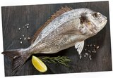 Dorade Royal Angebote bei REWE Hemer für 1,69 €