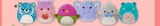 Squishmallow Angebote bei Marktkauf Leipzig für 12,99 €