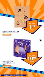 Aktueller Action Prospekt mit Adventskalender, "kleine Preise, grosse Freude!", Seite 17