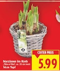 Narzissen im Korb im aktuellen E center Prospekt