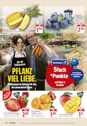 Aktueller E center Prospekt mit Mango, "Aktuelle Angebote", Seite 4