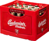 Budvar Premium Lager im Trinkgut Prospekt Budvar Premium Lager von Budweiser im aktuellen Trinkgut Prospekt für 15,99 €