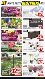 Gartenerde im B1 Discount Baumarkt Prospekt in Neubrandenburg Aktueller B1 Discount Baumarkt Prospekt mit Gartenerde, "BESTPREISE DER WOCHE!", Seite 6