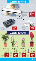 Offre Orchidée dans le catalogue Aldi du moment à la page 34