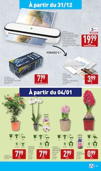 Promo Plantes dans le catalogue Aldi du moment à la page 34