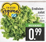 Endiviensalat im aktuellen EDEKA Prospekt
