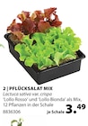 Pflücksalat Mix Angebote bei Dehner Garten-Center Trier für 3,49 €