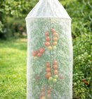 Vlies-Tomatenreifehauben von Grüner Jan im aktuellen Thomas Philipps Prospekt