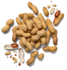 Kaufland Dahlenwarsleben - Amerik./ägypt. Erdnüsse XXL Angebot im Prospekt Amerik./ägypt. Erdnüsse XXL bei Kaufland im Dahlenwarsleben Prospekt für 2,99 €