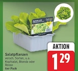 Salatpflanzen für 1,29 € bei EDEKA im Angebot Salatpflanzen im aktuellen EDEKA Prospekt