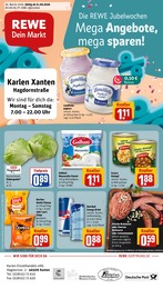 REWE Prospekt für Xanten mit 37 Seiten REWE Prospekt für Xanten: "Dein Markt", 37 Seiten, 21.09.2026 - 26.09.2026